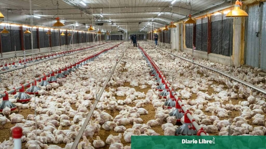 ADA respalda la ley que deja fija la exoneración al agro y pide ver su efecto real
