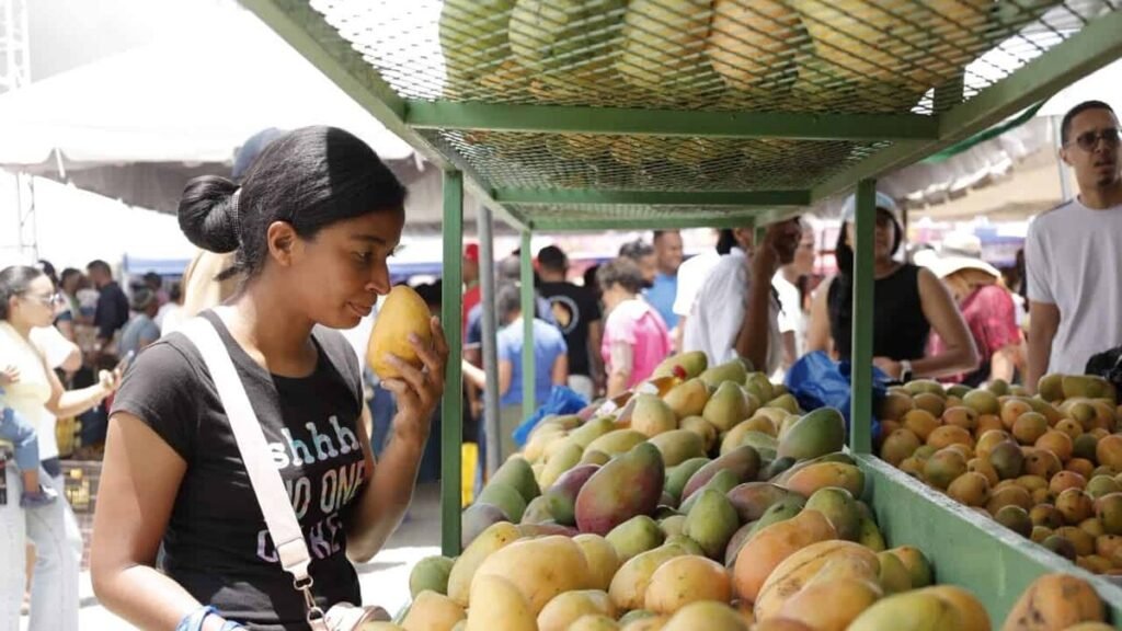 Baní queda reconocida como “Capital del Mango” y el Congreso vuelve al centro del debate