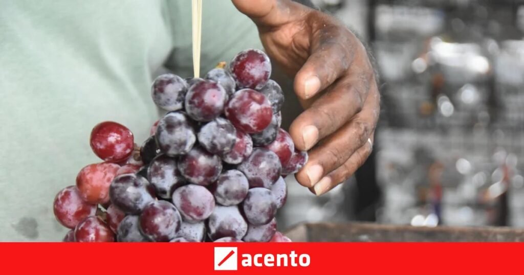 Uvas, vinos y dulces sostienen la parada turística del cruce de Vicente Noble