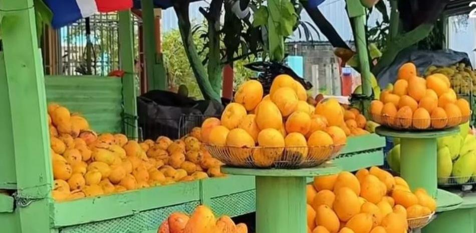Hipólito Mejía resalta la Expomango y lamenta la pérdida de una finca banileja que, dijo, dejaron morir