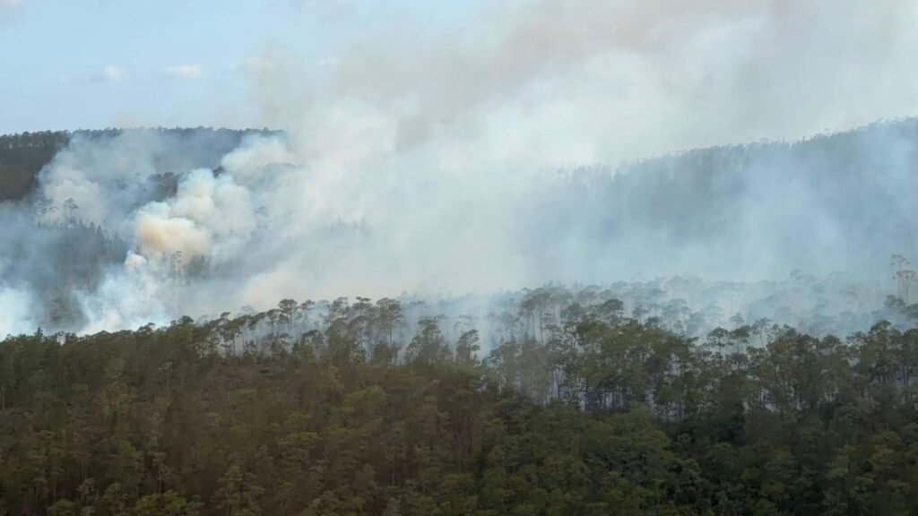 Refuerzan operativo en Sierra de Bahoruco por incendio que sigue activo