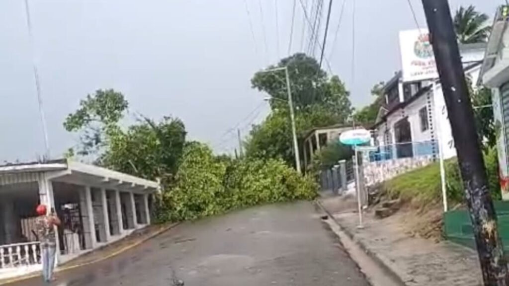 Árboles caídos y caminos bloqueados en Loma de Cabrera tras un fenómeno atmosférico