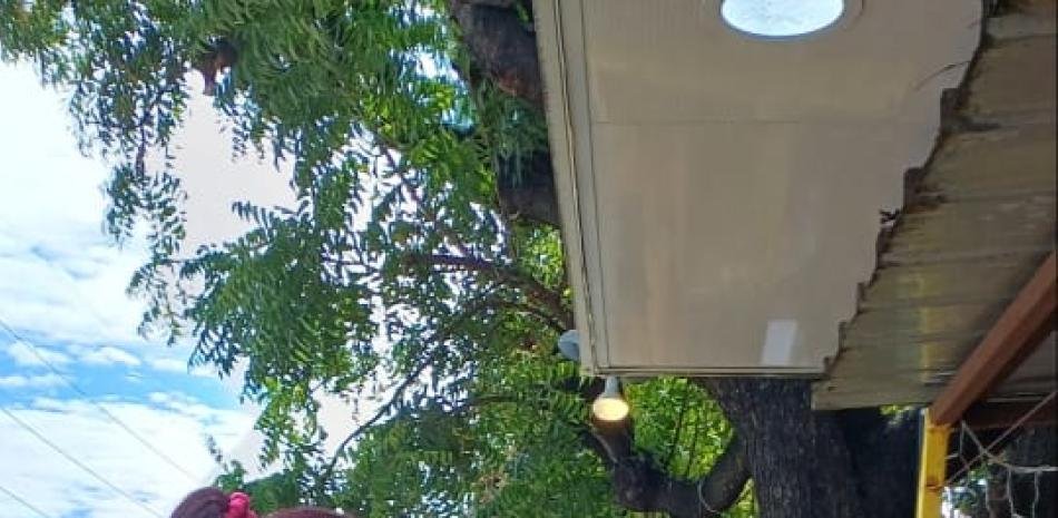 Baní abre hoy la Feria del Mango en una nueva sede por obras en el parque municipal
