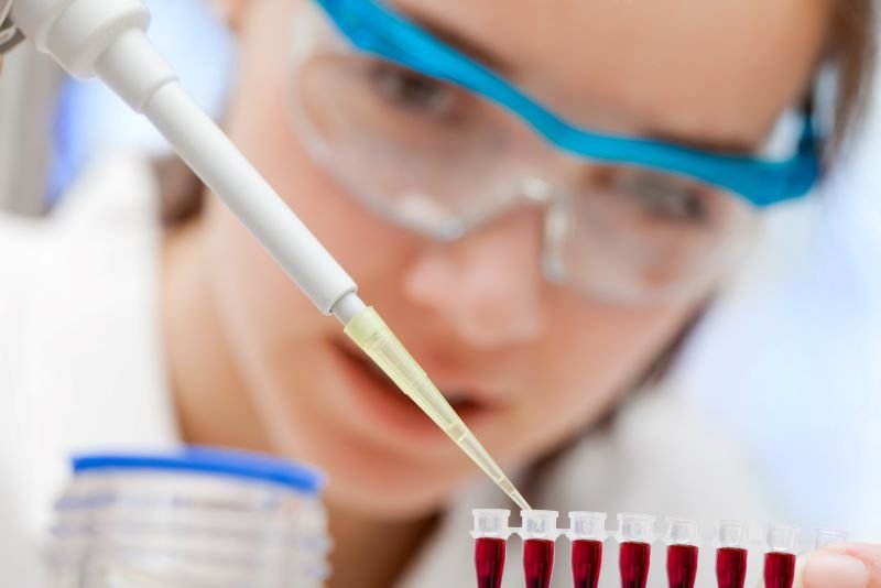 Un hallazgo sobre el hígado abre nuevas vías contra la diabetes y la obesidad, con la salud pública en el centro