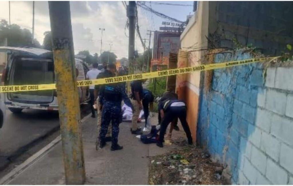 Muerte de Katianely Sánchez Solís en el Distrito Nacional mantiene en observación la actuación de las autoridades