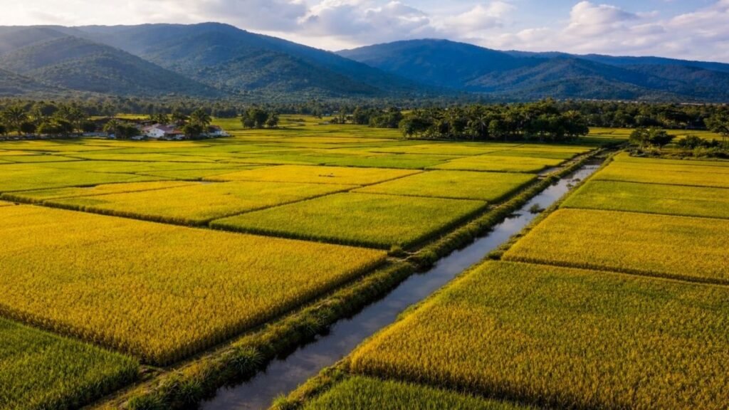 Zonificar cultivos, una presión sobre tierras y agua en zonas agrícolas clave
