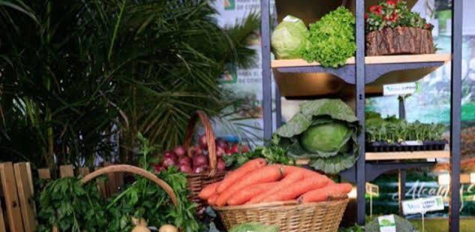 Importaciones y costos golpean a Constanza y reavivan cuestionamientos sobre la gestión del campo