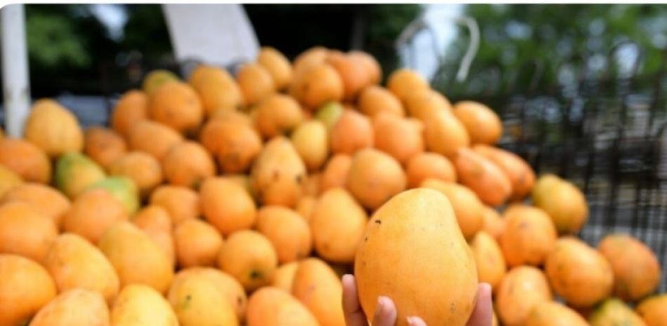 Benítez pidió rigor fitosanitario en Baní antes del golpe a los mangos por la suspensión de EE.UU.