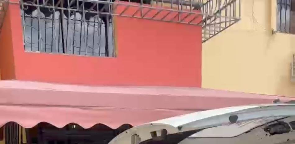 También aparece muerto el perro en el apartamento de Rómulo Betancourt mientras sigue sin aclararse la causa