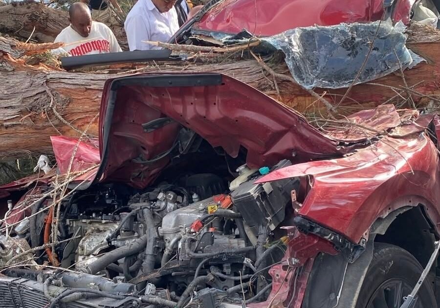 Árbol cae en Las Américas, deja cuatro heridos y paraliza el tránsito en Doña Pula