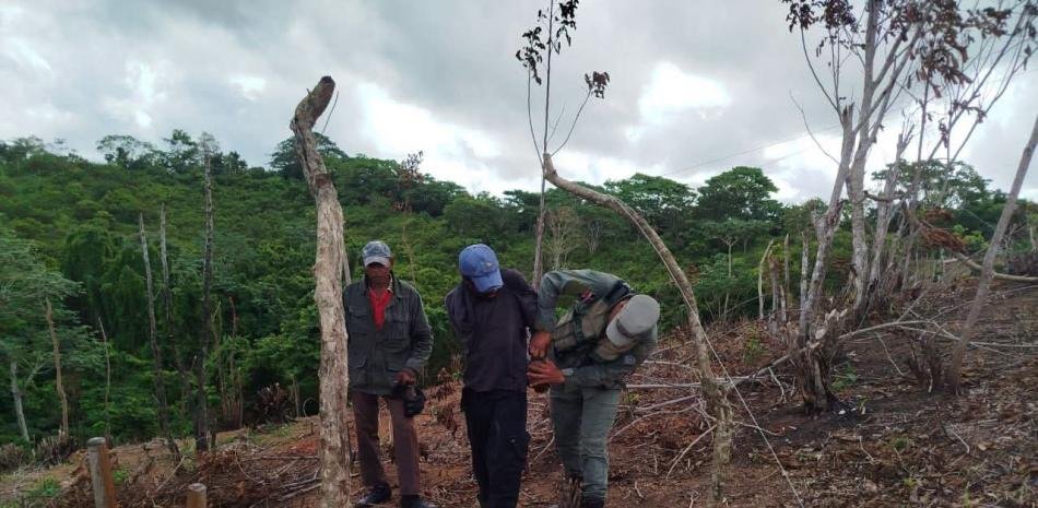 Dos condenados por incendiar área protegida en El Seibo quedan con pena suspendida